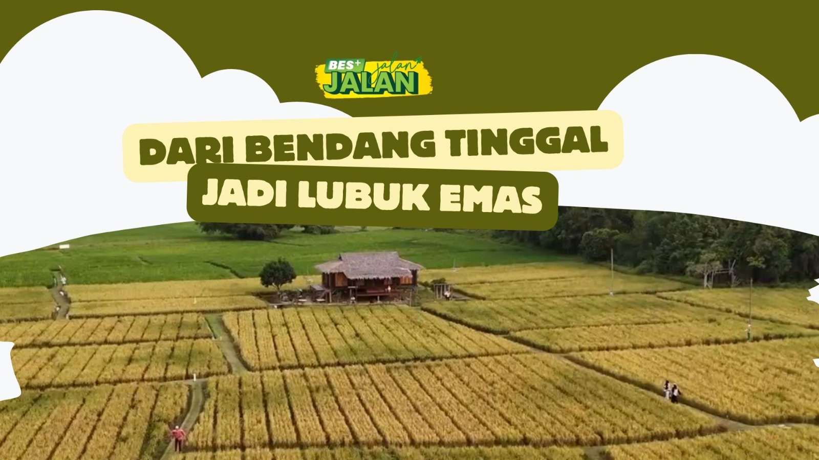 BES+JALAN-JALAN - Dari bendang tinggal, jadi lubuk emas